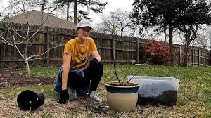 Image result for Quarter Boolin Club