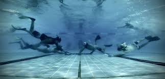 Image result for York Octopush Club