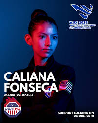 Image result for Taekwondo Athletes Program USA