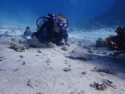 Image result for Reading University Sub Aqua Club