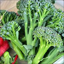 Broccoli The Blood Sugar Wonder