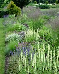 Image result for Digitalis lutea