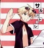 「サルバトーレ・ドニ カンピオーネ！」の画像検索結果