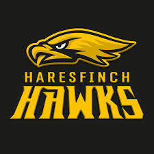 Image result for Haresfinch Amateur Rugby League Football Club