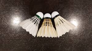 Image result for Feathers Badminton- Leatherhead