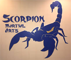 Image result for Scorpion Martial Arts Academy
