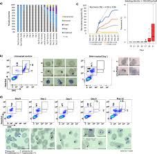 Attēlu rezultāti vaicājumam “Diderma ochraceum plasmodium”