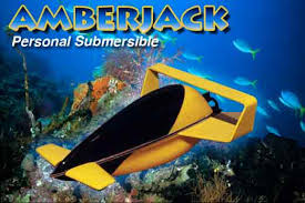 Image result for seaquest stinger