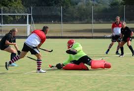 Image result for Sudbury Hockey Club