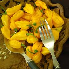 Afbeeldingsresultaat voor yellow fratali hot pepper