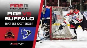 Image result for Basingstoke Buffalo