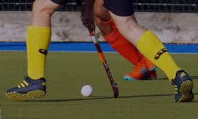 Image result for Gosport Borough Hockey Club