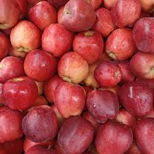 Attēlu rezultāti vaicājumam “Malus domestica”