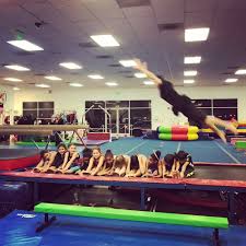 Image result for Acrobrats