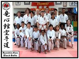Image result for Hidden Dragon Karate-Do