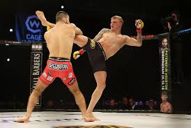 Image result for Cardiff Mma