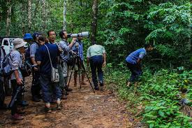 Image result for синхараджа