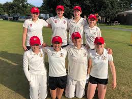 Image result for Taunton Deane Cricket Club