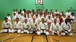 Image result for Haxby karate club
