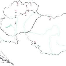 Attēlu rezultāti vaicājumam “Rhynchaenus lonicerae”