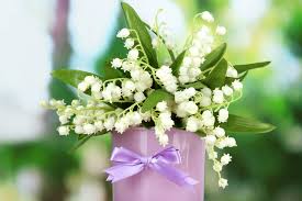 Attēlu rezultāti vaicājumam “Convallaria majalis flower”