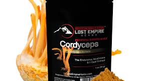 Attēlu rezultāti vaicājumam “Cordyceps”