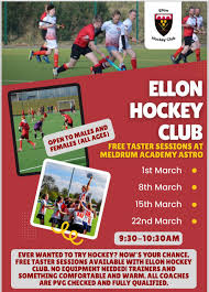 Image result for Ellon Gordon Hockey Club