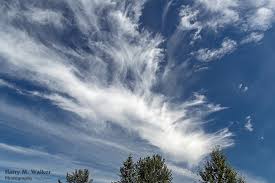 Attēlu rezultāti vaicājumam “Cirrus fibratus”