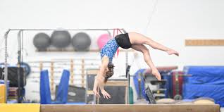 Image result for Weaverham Gymnastics Club