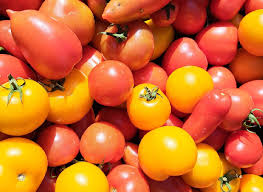Afbeeldingsresultaat voor oranje van goeienbier tomato