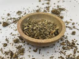 Attēlu rezultāti vaicājumam “Verbascum thapsus fruit”