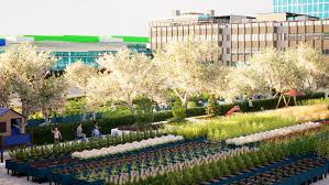 Image result for Spring View Community Sports Association