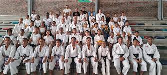 Image result for Inyo Karate Do Ninbukan