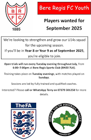 Image result for Bere Regis Skittles Club