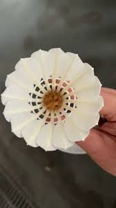 Image result for Linton Badminton Furies Badminton Club