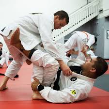 Image result for Northern Academy of Ju-Jitsu