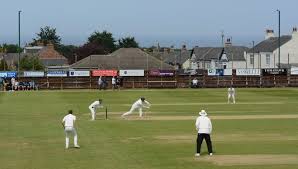 Image result for Methley Cricket Club