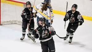 Image result for Stockton Ladies Hockey Club