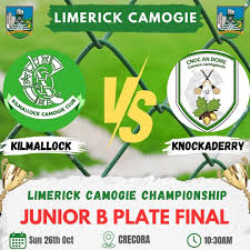 Image result for Limerick Draughts Club