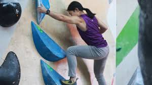 Image result for London Mountaineering and Climbing Club