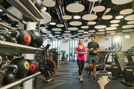 Image result for Bridge Of Allan Sports Club