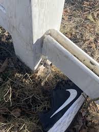 Картинки по запросу белку зажевало в диск