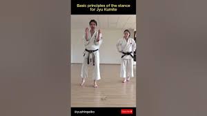 Image result for Junsui Shotokan Karate Do