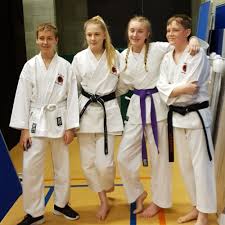 Image result for Hetton and Murton Karate Academy