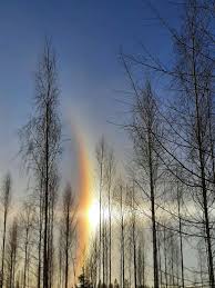 Kuvahaun tulos haulle haloilmi