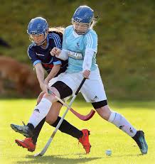 Image result for Skye Camanachd