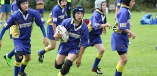 Image result for West Hull Rugby League Football Club