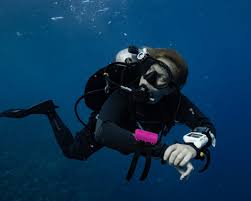 Image result for Headstream Divers