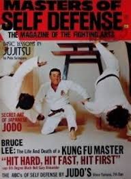 Image result for Masters of Martial Arts
