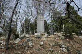 小羽　貝谷에 대한 이미지 검색결과